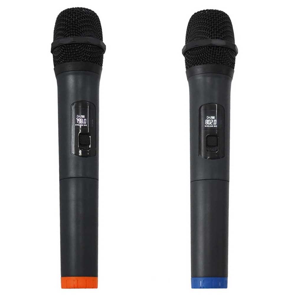 בידורית נטענת 2×10" עם 2 מיקרופונים אלחוטיים Apextone AP D10
