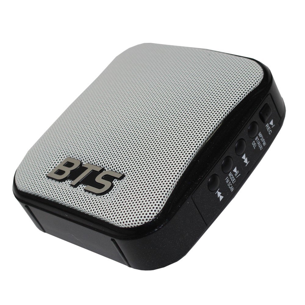 מגבר קול אישי 10W עם מיקרופון ראש BTS MPA-10