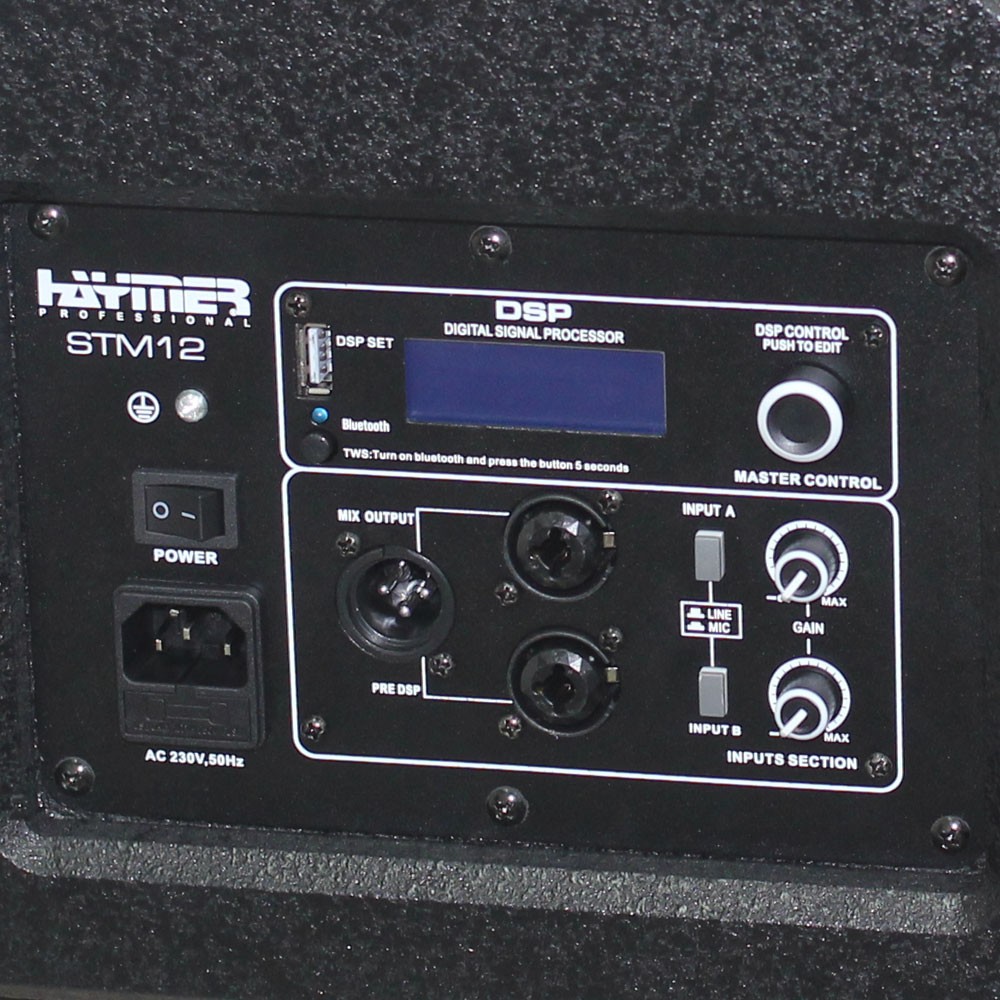 מוניטור במה מוגבר 12" 250W RMS Haymer STM12