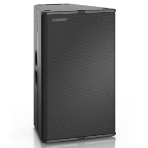 רמקול פסיבי 2×12" 1200W RMS בסגנון T24N