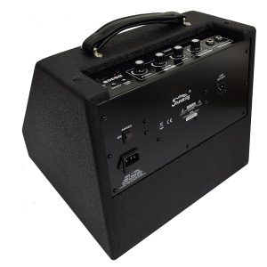 מגבר לתופים אלקטרוניים 10" קואקסיאלי 30W SoundKing DS30B