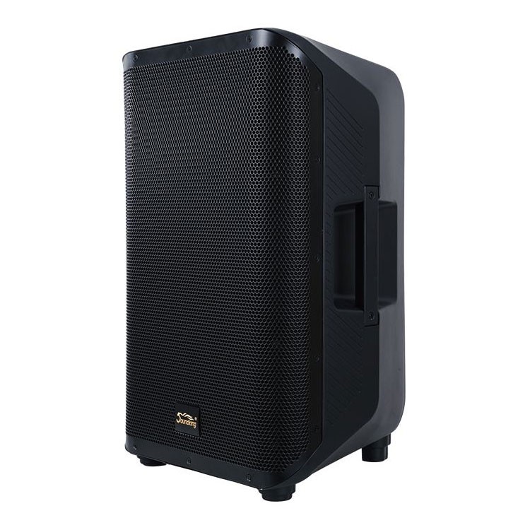רמקול מוגבר קואקסיאלי 10" עם DSP ואפליקציה SoundKing Y10P
